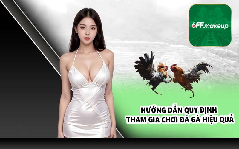Hướng dẫn quy định tham gia chơi đá gà hiệu quả